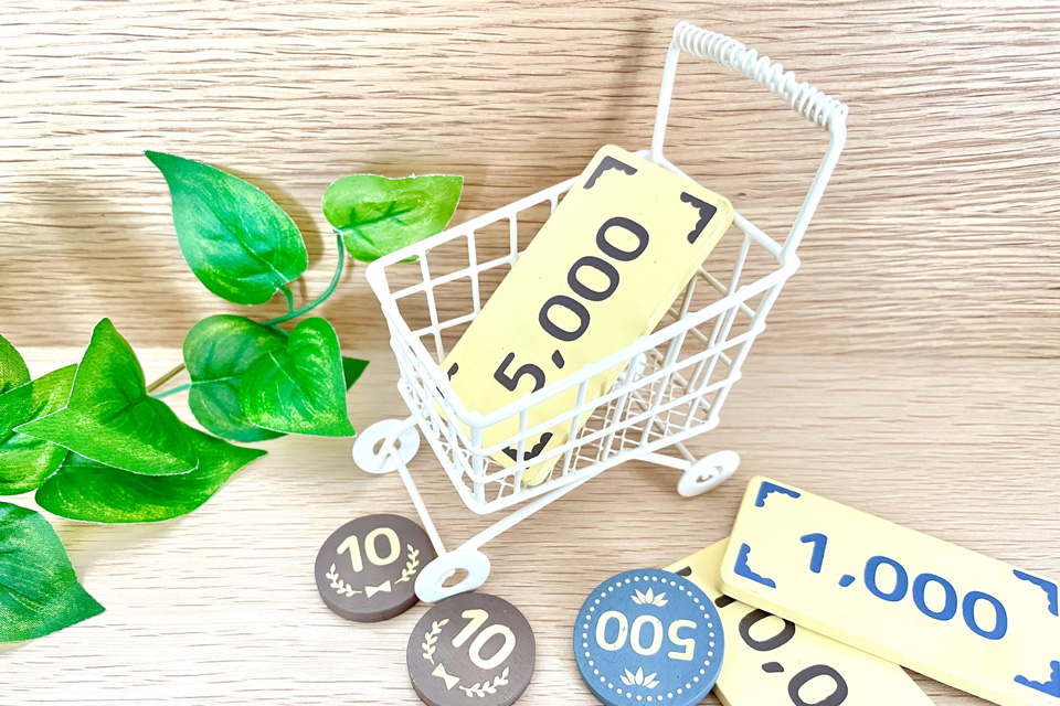 買い物カートに載ったお金